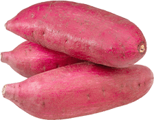 シルクスイート